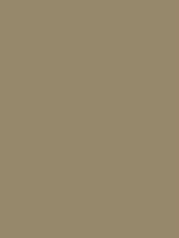 Cover Styl' K4 · Khaki — vinilo Color con acabado pequeño grano