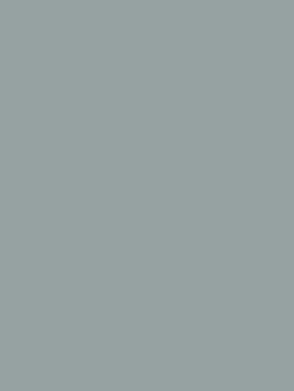 Cover Styl'® M4 Azul Pálido — vinilo color, textura pequeño grano