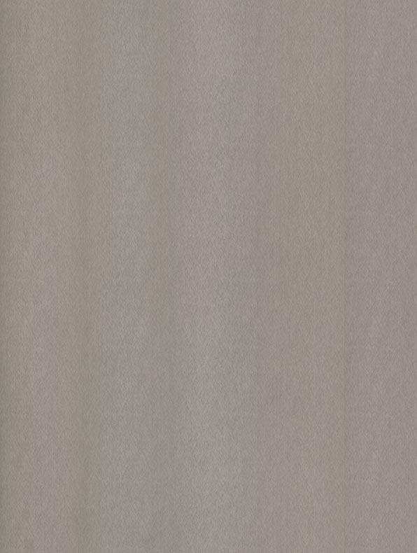 Cover Styl' NE51 · Plata Champagne — vinilo Metálico con acabado suave